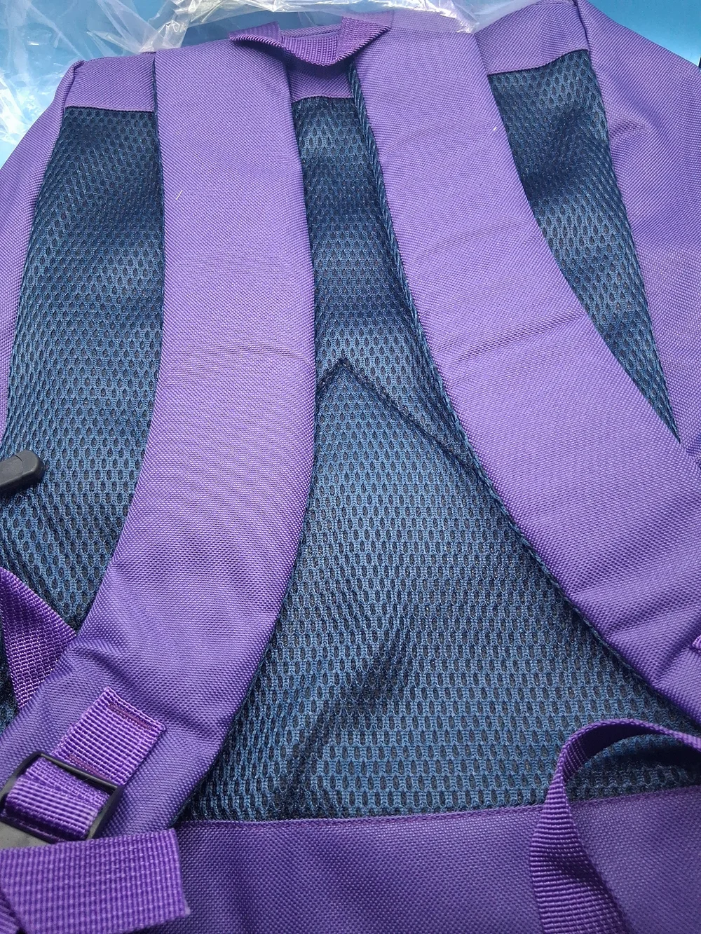 Purple Backpack with Brown Trim and Skate Graphic